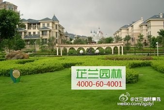 上海室内室外绿化养护/上海室内室外绿化养护哪家价格低/芷兰供